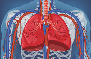 SAFETY PHARMACOLOGY STUDIES (CNS, cardiovascular, respiratory)